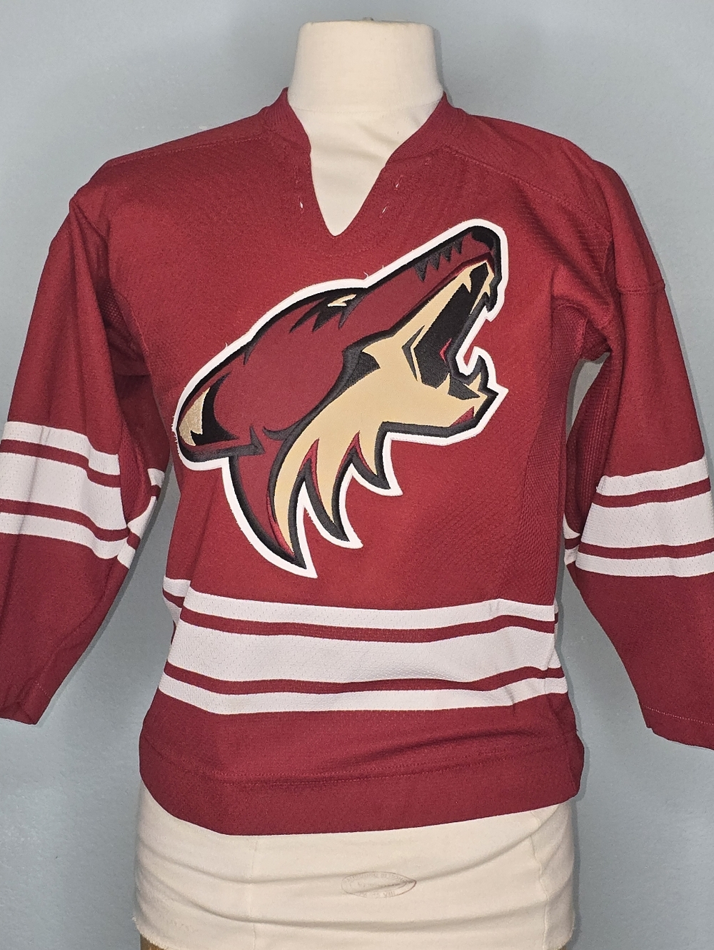 NHL Kids Red and White Coyote Hockey Crewneck